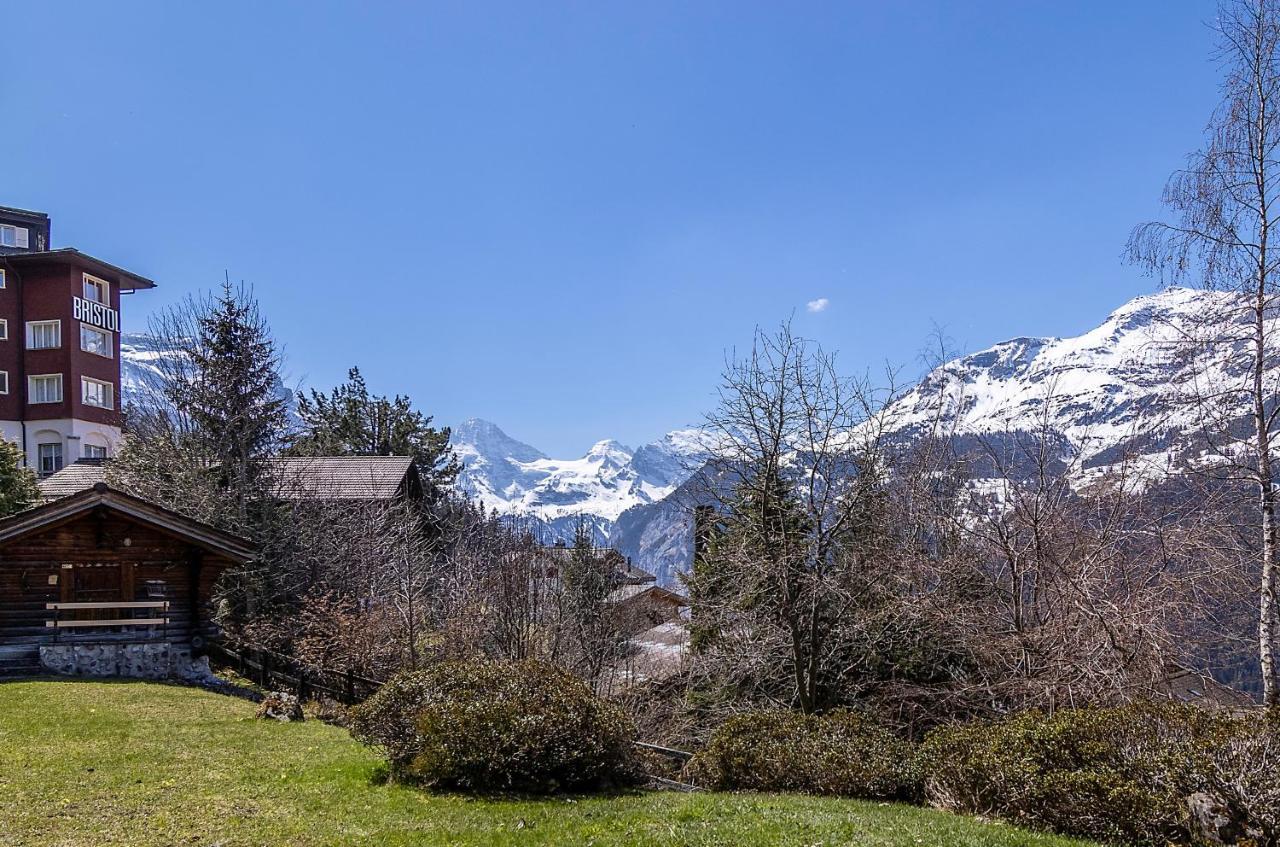 Apartment Steingaertli 1 Wengen