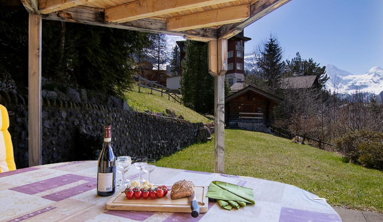 Steingaertli 1 Apartment *